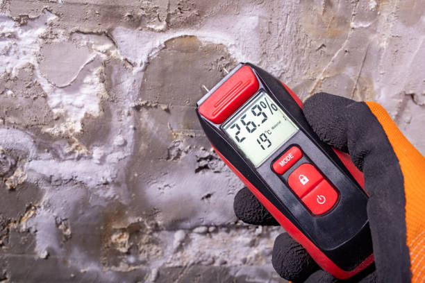 Attic Mold Removal in Mohave Valley, AZ